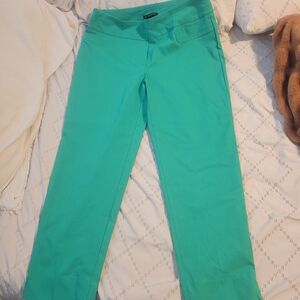 Zach and Rachel Green Pants size 14